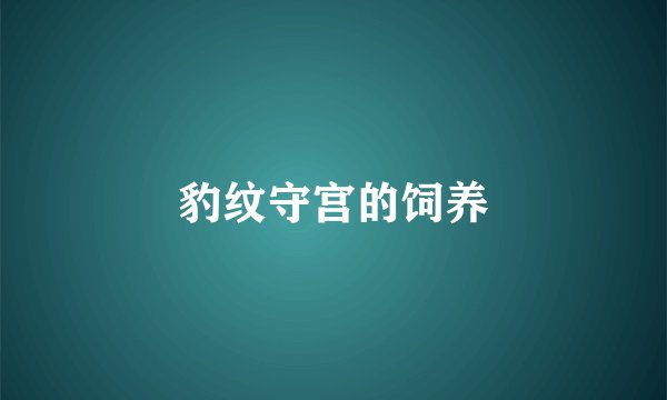 豹纹守宫的饲养