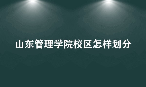 山东管理学院校区怎样划分