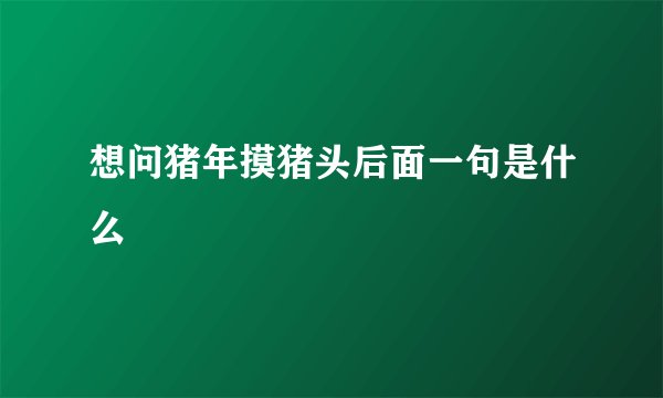 想问猪年摸猪头后面一句是什么