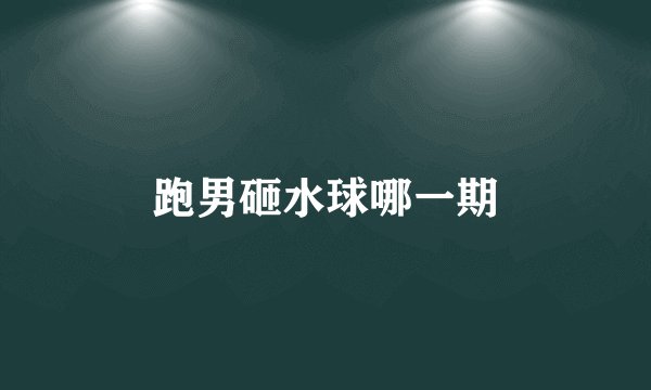 跑男砸水球哪一期