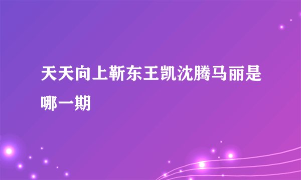 天天向上靳东王凯沈腾马丽是哪一期