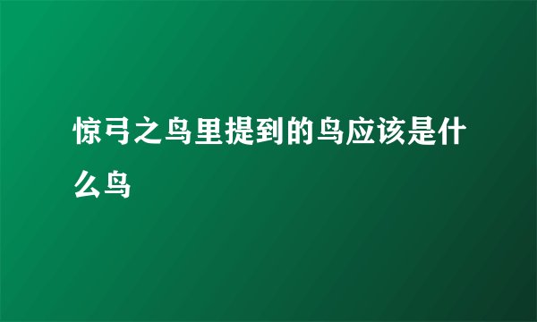 惊弓之鸟里提到的鸟应该是什么鸟