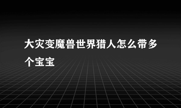 大灾变魔兽世界猎人怎么带多个宝宝