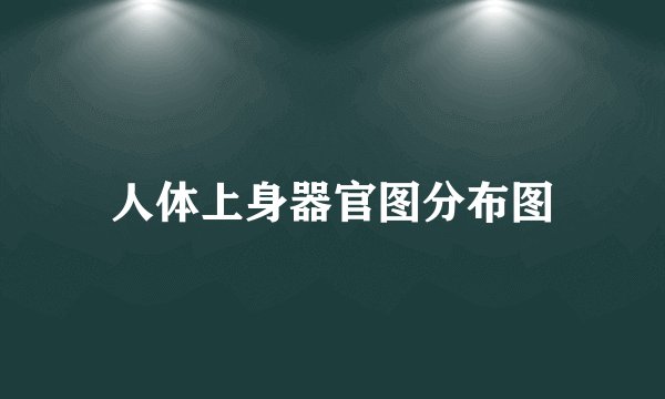 人体上身器官图分布图