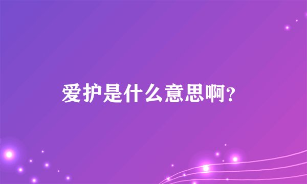 爱护是什么意思啊？