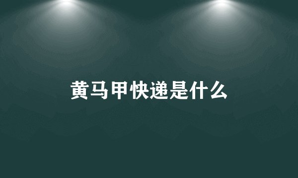 黄马甲快递是什么