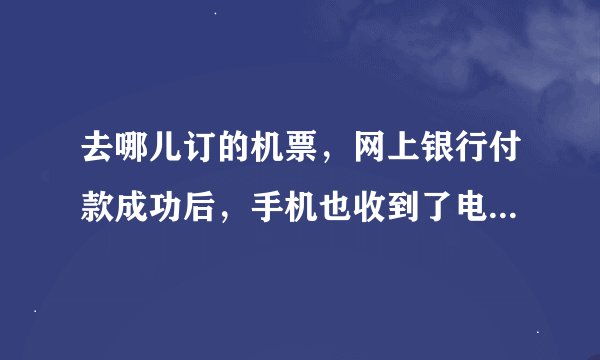 去哪儿订的机票，网上银行付款成功后，手机也收到了电子票号，查询了机票应该是没问题了。