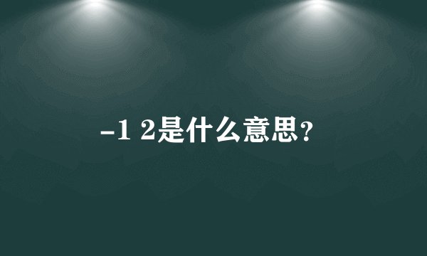 -1 2是什么意思？