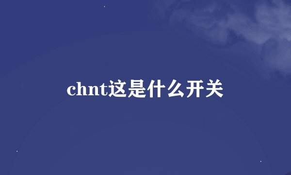 chnt这是什么开关