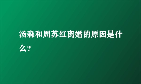 汤淼和周苏红离婚的原因是什么？