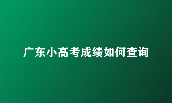 广东小高考成绩如何查询