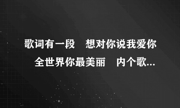 歌词有一段 想对你说我爱你 全世界你最美丽 内个歌叫什么?