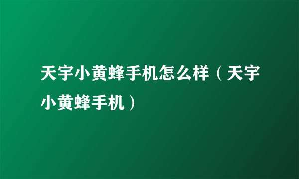 天宇小黄蜂手机怎么样（天宇小黄蜂手机）