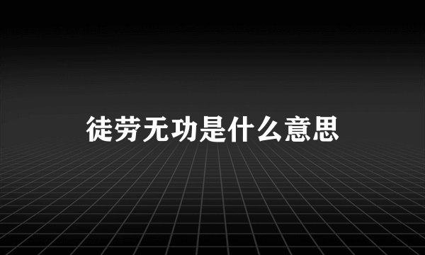 徒劳无功是什么意思