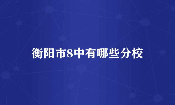 衡阳市8中有哪些分校