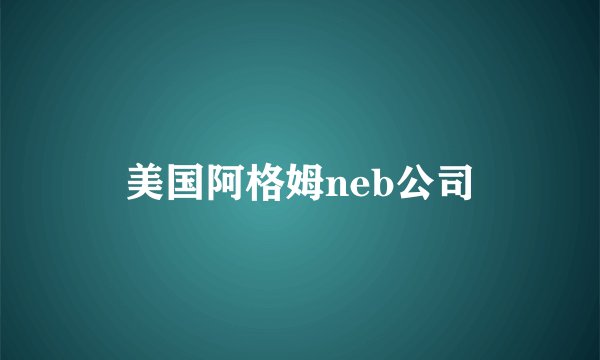 美国阿格姆neb公司
