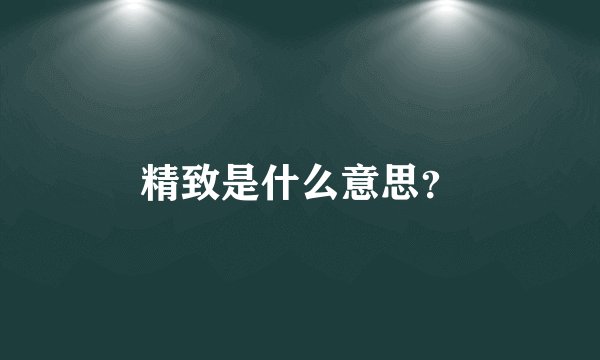 精致是什么意思？