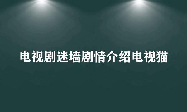 电视剧迷墙剧情介绍电视猫