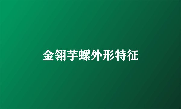 金翎芋螺外形特征