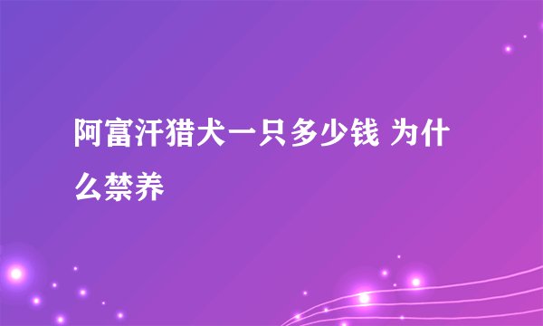 阿富汗猎犬一只多少钱 为什么禁养