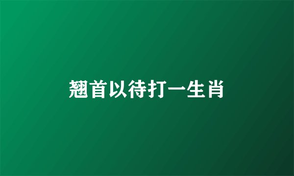 翘首以待打一生肖