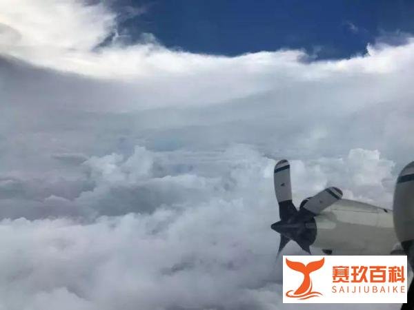 美军这支装备精良的部队，对手竟不是人类......