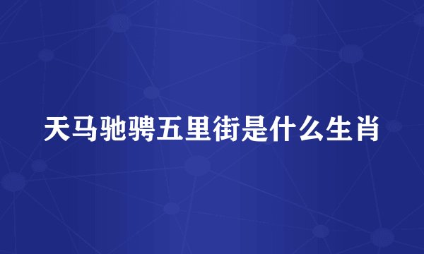 天马驰骋五里街是什么生肖