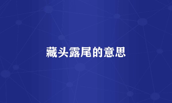 藏头露尾的意思