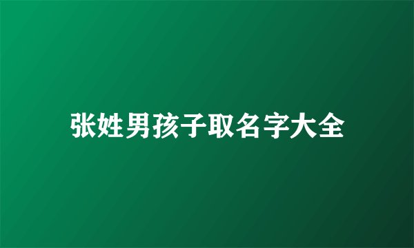 张姓男孩子取名字大全