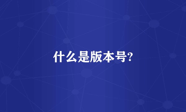 什么是版本号?