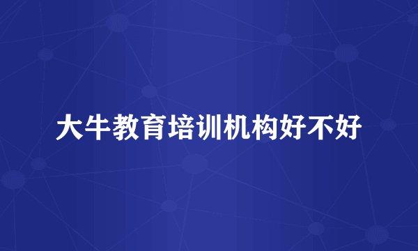 大牛教育培训机构好不好