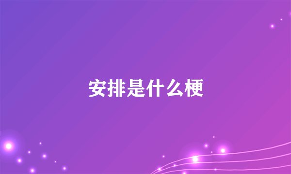 安排是什么梗