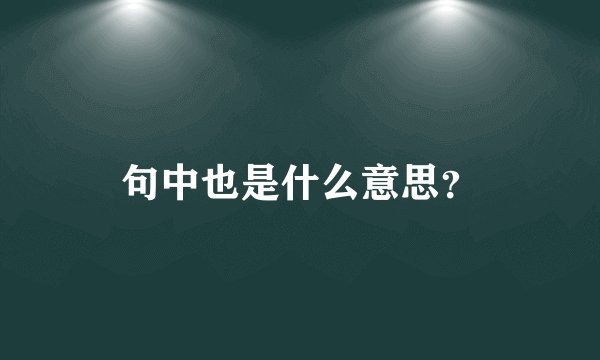 句中也是什么意思？