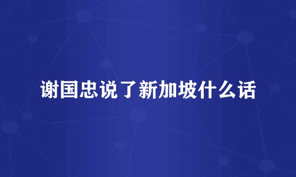 谢国忠说了新加坡什么话