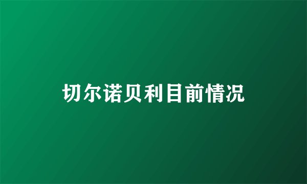 切尔诺贝利目前情况