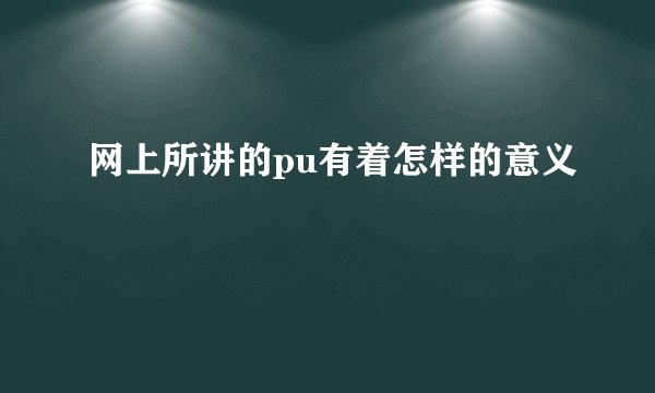 网上所讲的pu有着怎样的意义
