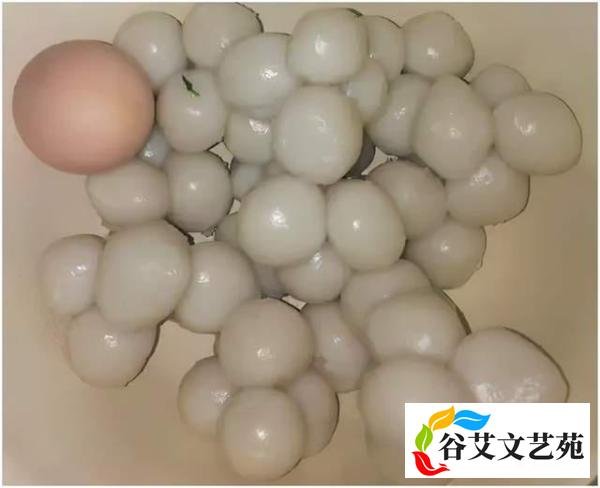 江西话汉语赣方言之食饮