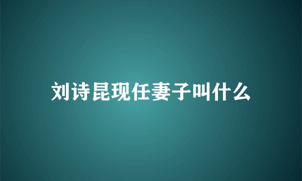 刘诗昆现任妻子叫什么