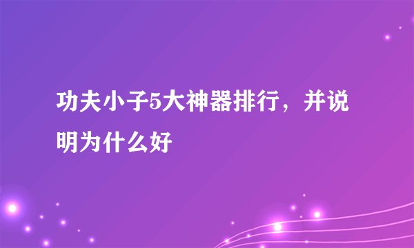功夫小子5大神器排行，并说明为什么好