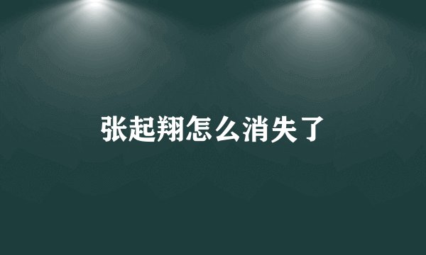 张起翔怎么消失了
