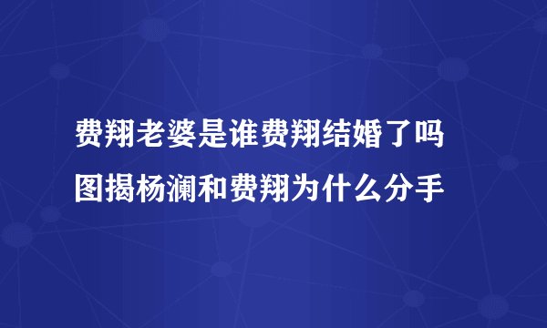 费翔老婆是谁费翔结婚了吗 图揭杨澜和费翔为什么分手