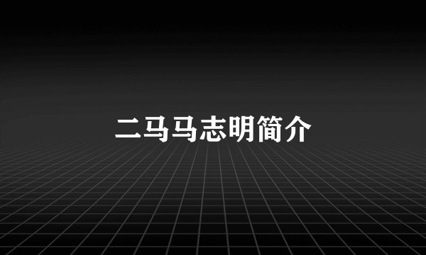 二马马志明简介