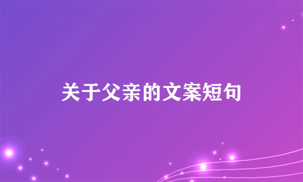 关于父亲的文案短句