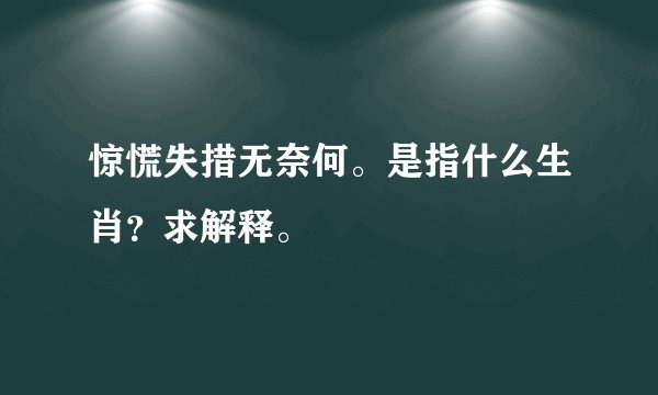 惊慌失措无奈何。是指什么生肖？求解释。