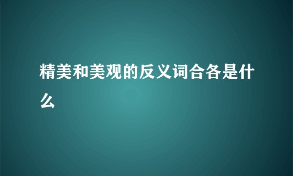 精美和美观的反义词合各是什么