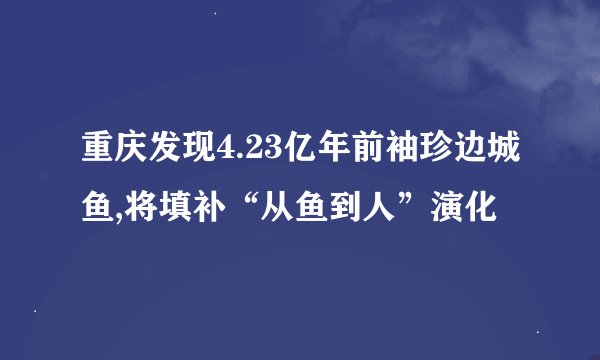 重庆发现4.23亿年前袖珍边城鱼,将填补“从鱼到人”演化