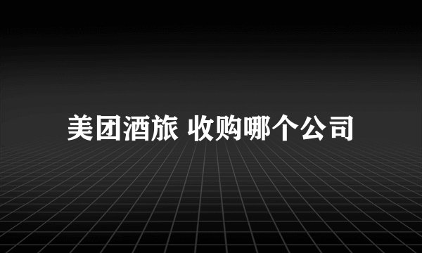 美团酒旅 收购哪个公司