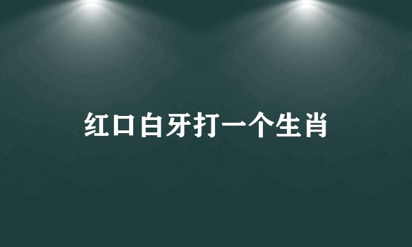红口白牙打一个生肖