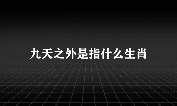 九天之外是指什么生肖