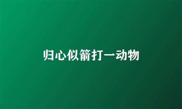 归心似箭打一动物